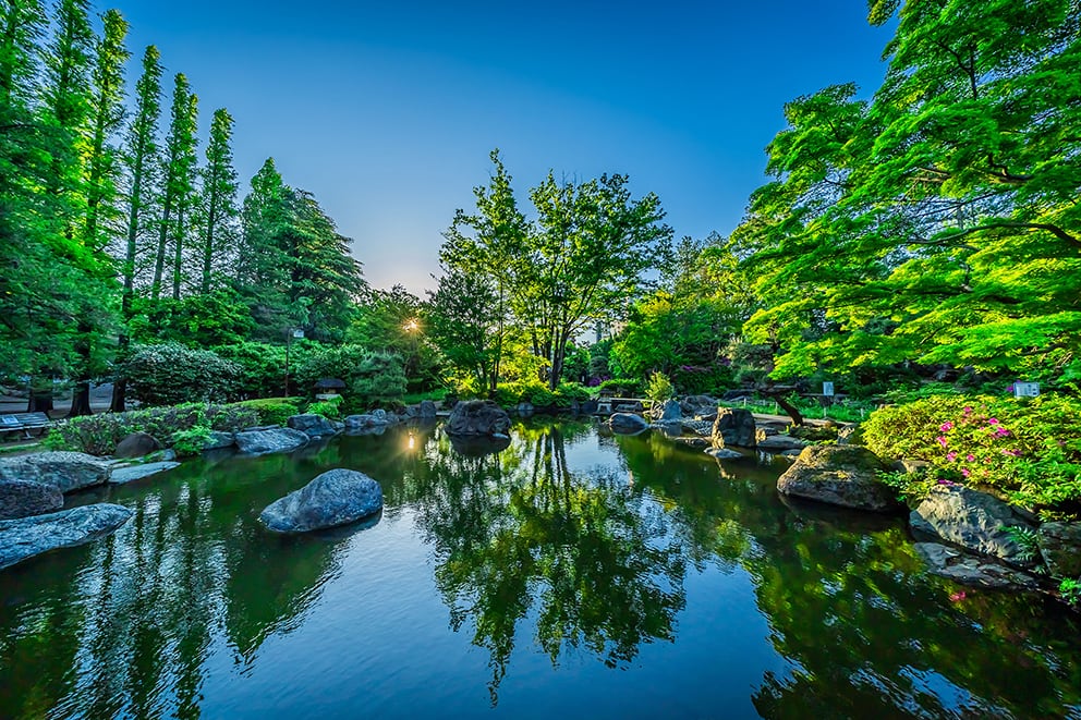 浦和北公園