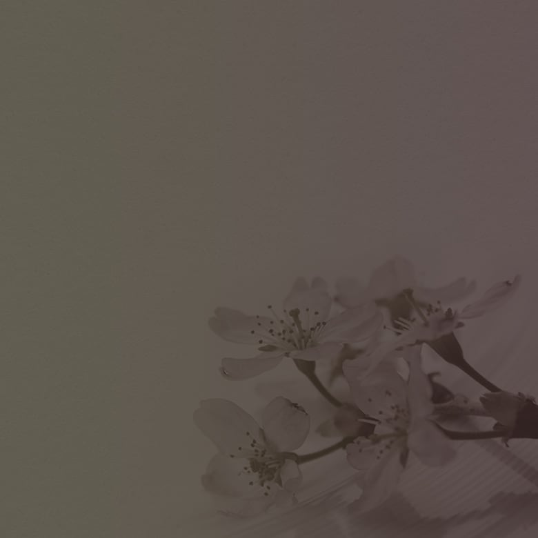 image photo