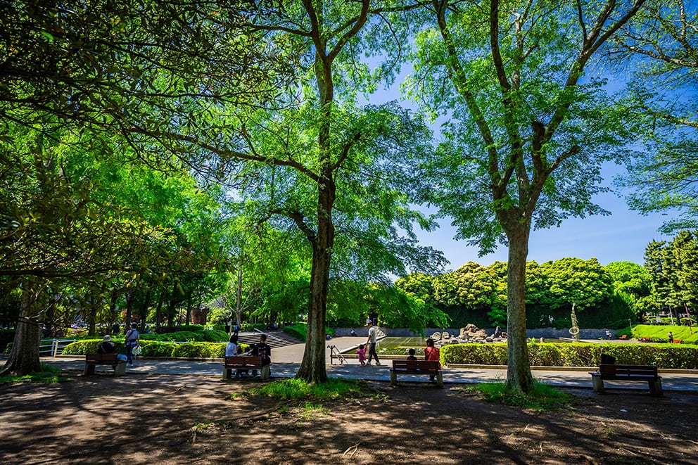 北浦和公園