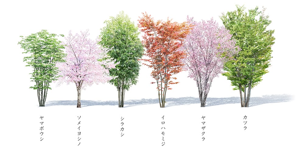 image illust